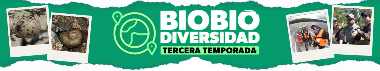 BioBio Diversidad TVU